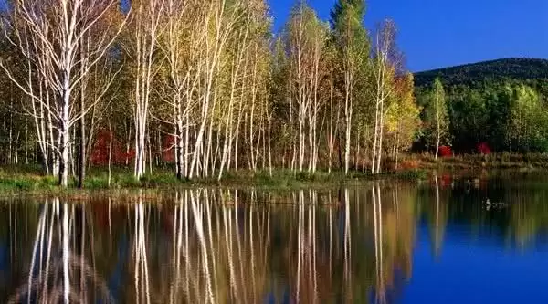 旅游年卡分享网