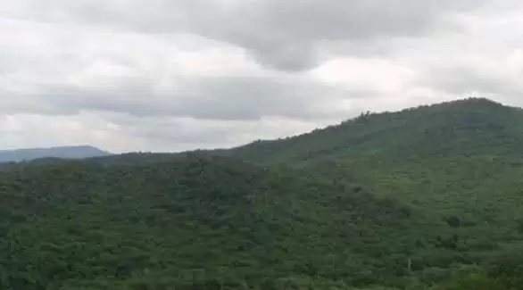旅游年卡分享网