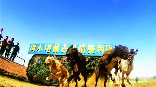 旅游年卡分享网