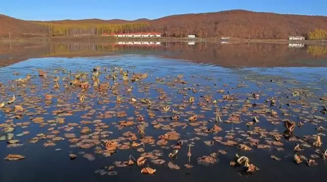 旅游年卡分享网