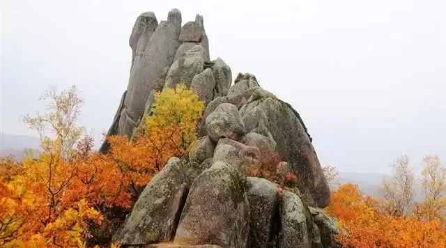 旅游年卡分享网