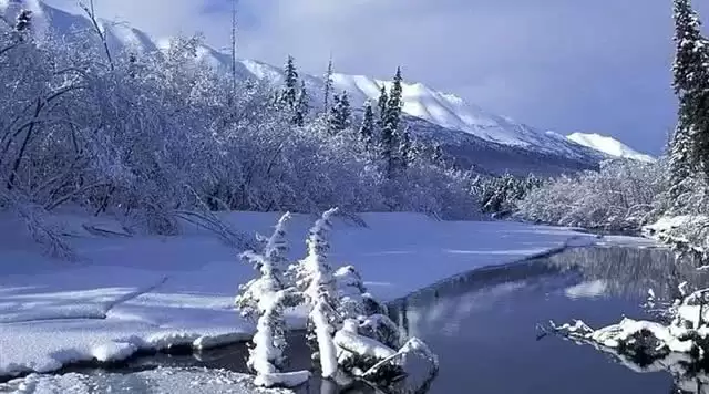 旅游年卡分享网